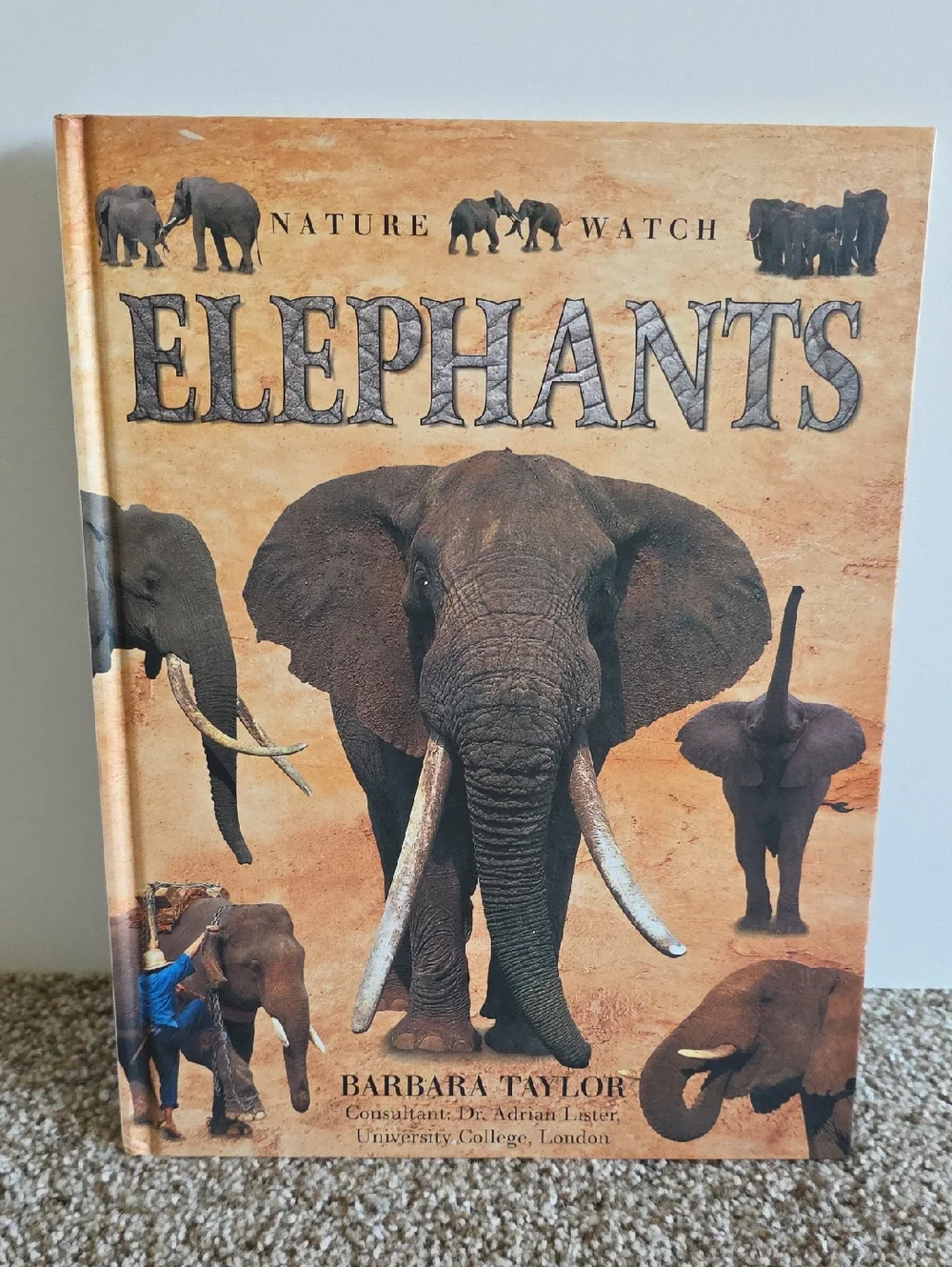 Children's Animal Book Set Dangerous Animals, Elephants, Bears, Giraffes, Rhinos